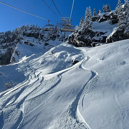 Marmotte 3 *