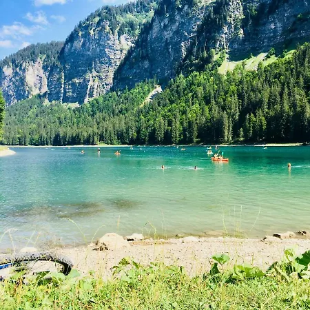 Apartment Marmotte 3 *